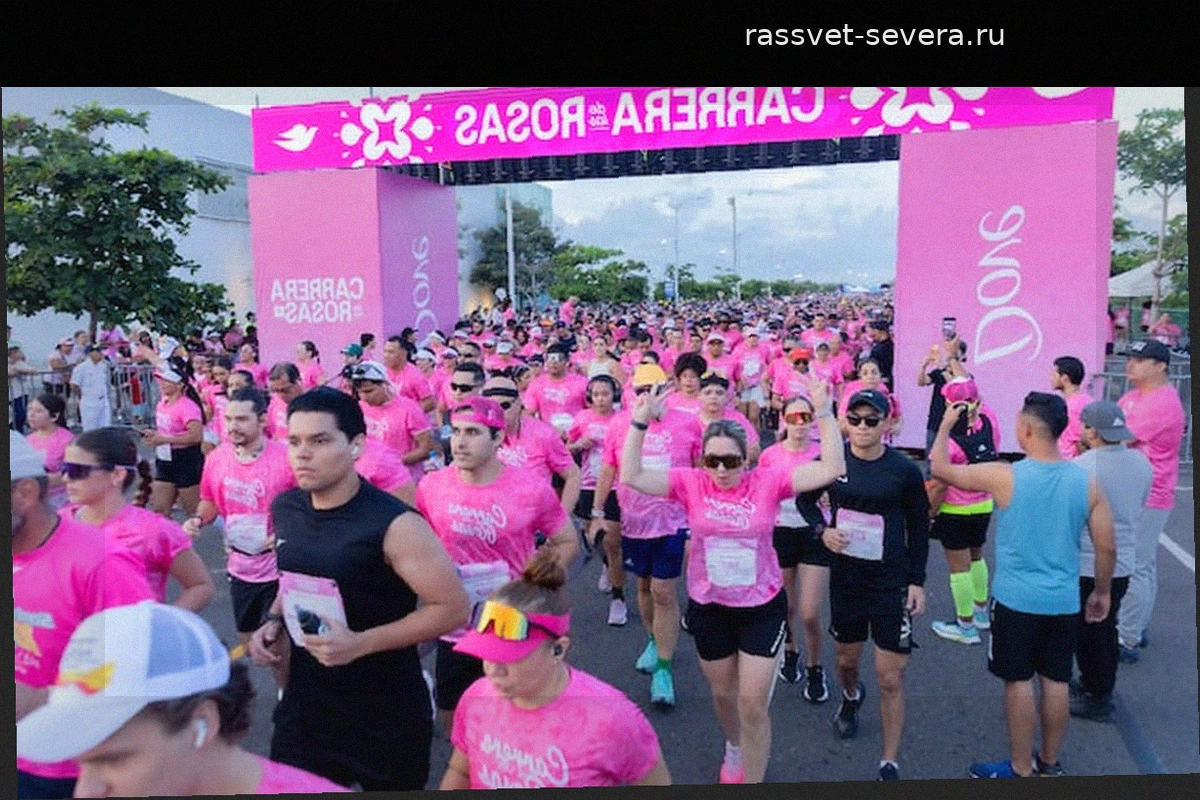 Забег «Carrera de las Rosas 2026» в Боготе: график перекрытия дорог и схемы объезда