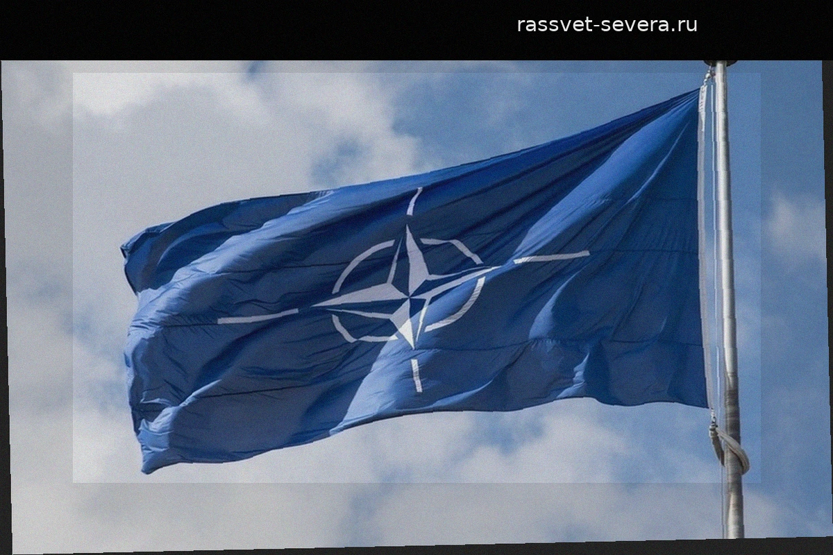 Марк Рютте признал зависимость союзников НАТО от военной мощи США