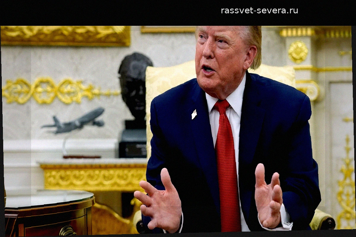 Трамп объяснил успех «Альтернативы для Германии» миграционным кризисом