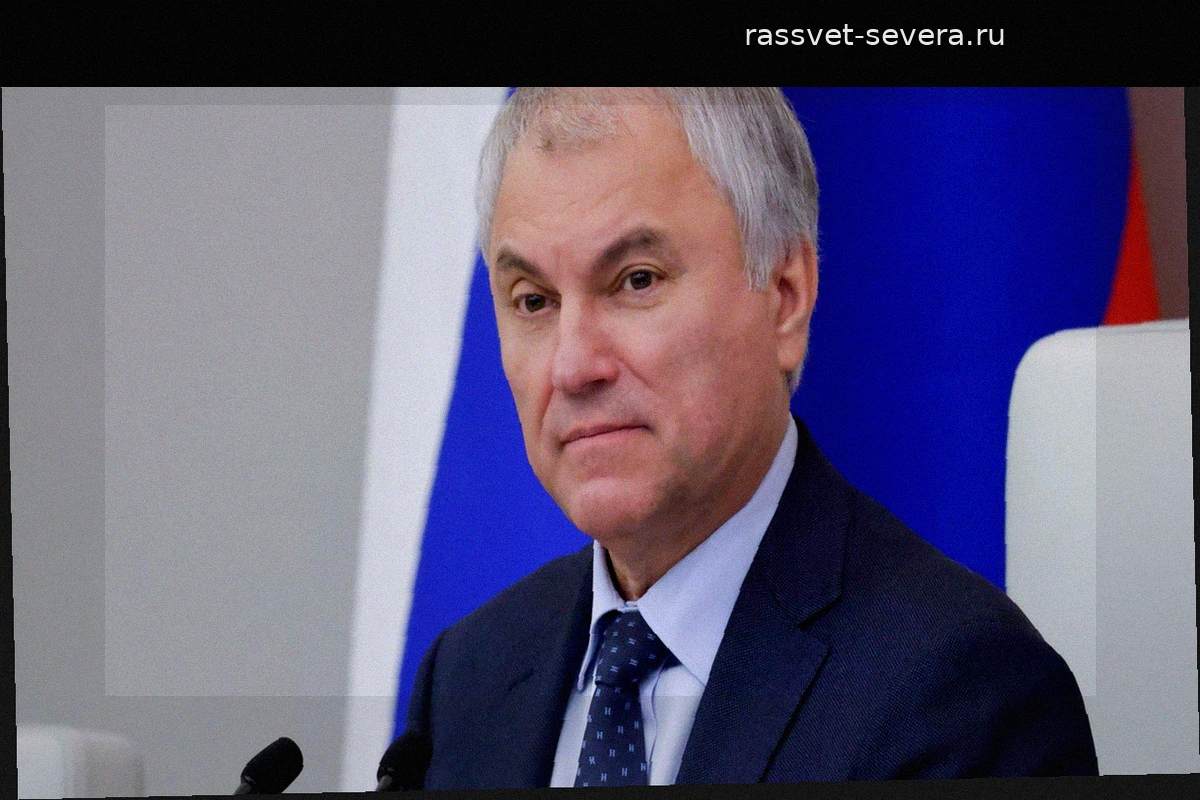 Володин предложил признать вывод денег за рубеж отягчающим обстоятельством