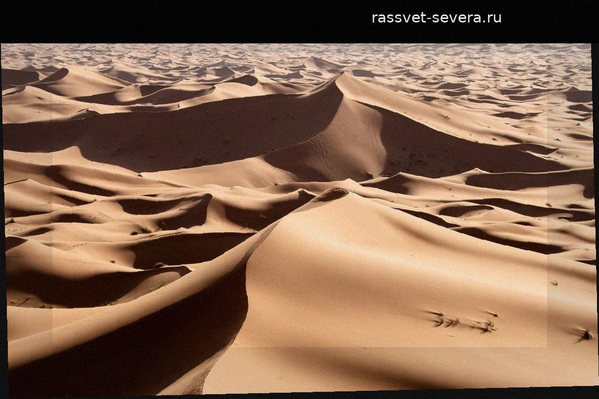 Suena raro, pero la ciencia lo avala: Arabia Saudí importa toneladas de arena para hormigón aunque está rodeada por el desierto