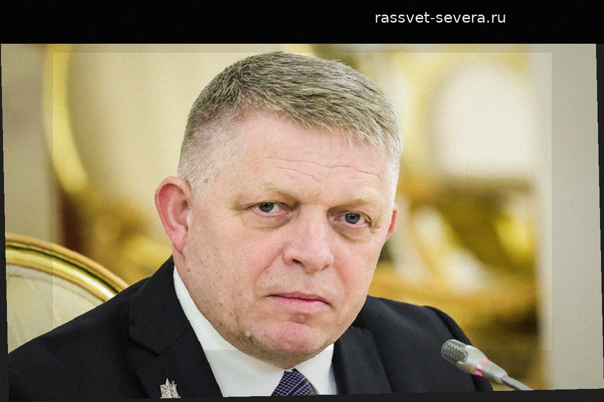 Состоялся телефонный разговор между Робертом Фицо и Владимиром Зеленским