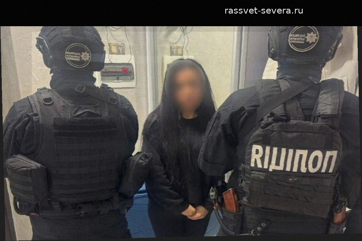 В Киевской области задержали банду за похищение женщины и вымогательство 40 тысяч евро