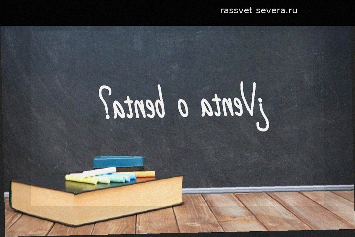 Как правильно пишется: venta или benta