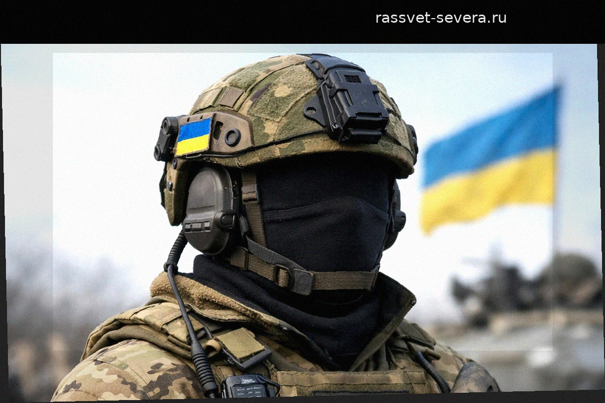 Обнародована информация об исчезнувших иностранных наемниках на Украине