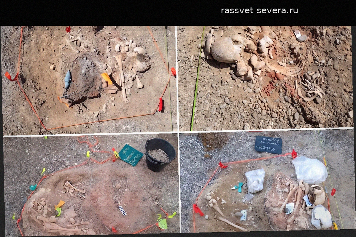 Археологическая находка в аргентинском саду может переписать историю заселения Америки