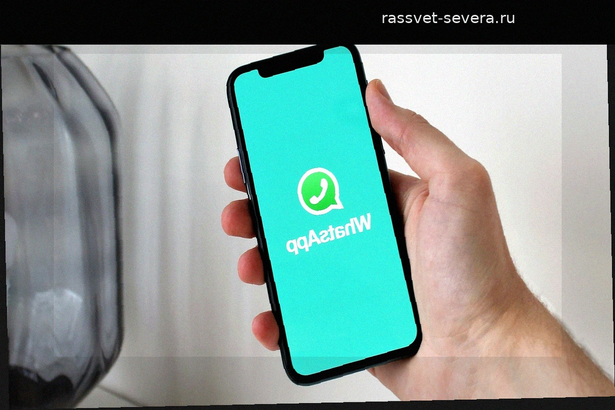 Как защититься от мошенников в WhatsApp: одна простая настройка приватности