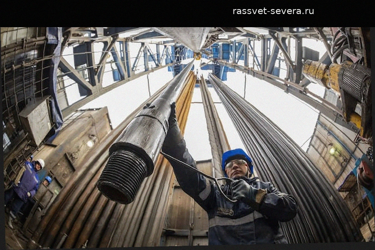 Финансовые результаты Ecopetrol остаются слабыми: анализ цифр и кадровых изменений