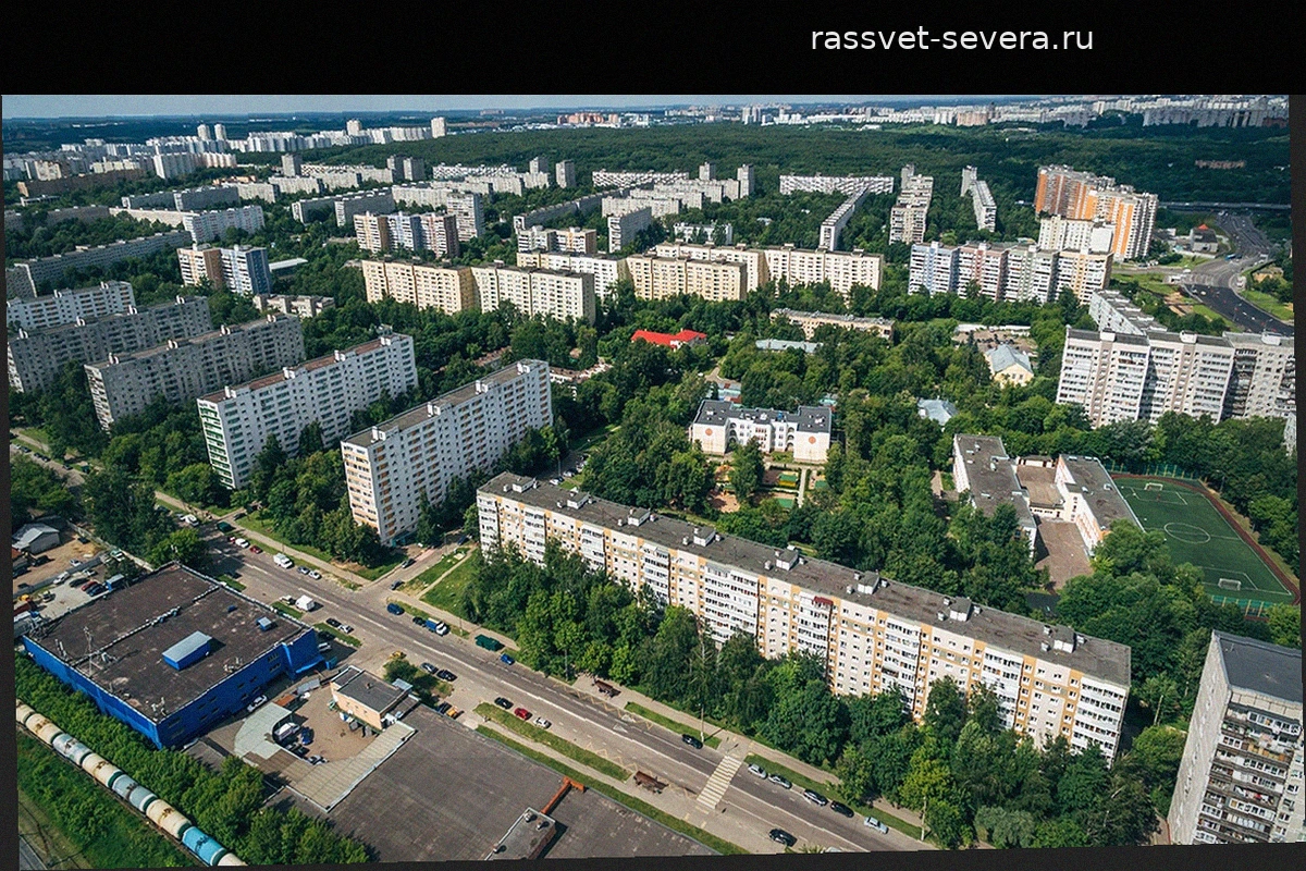 В московском районе Бирюлево ввели карантин по бешенству