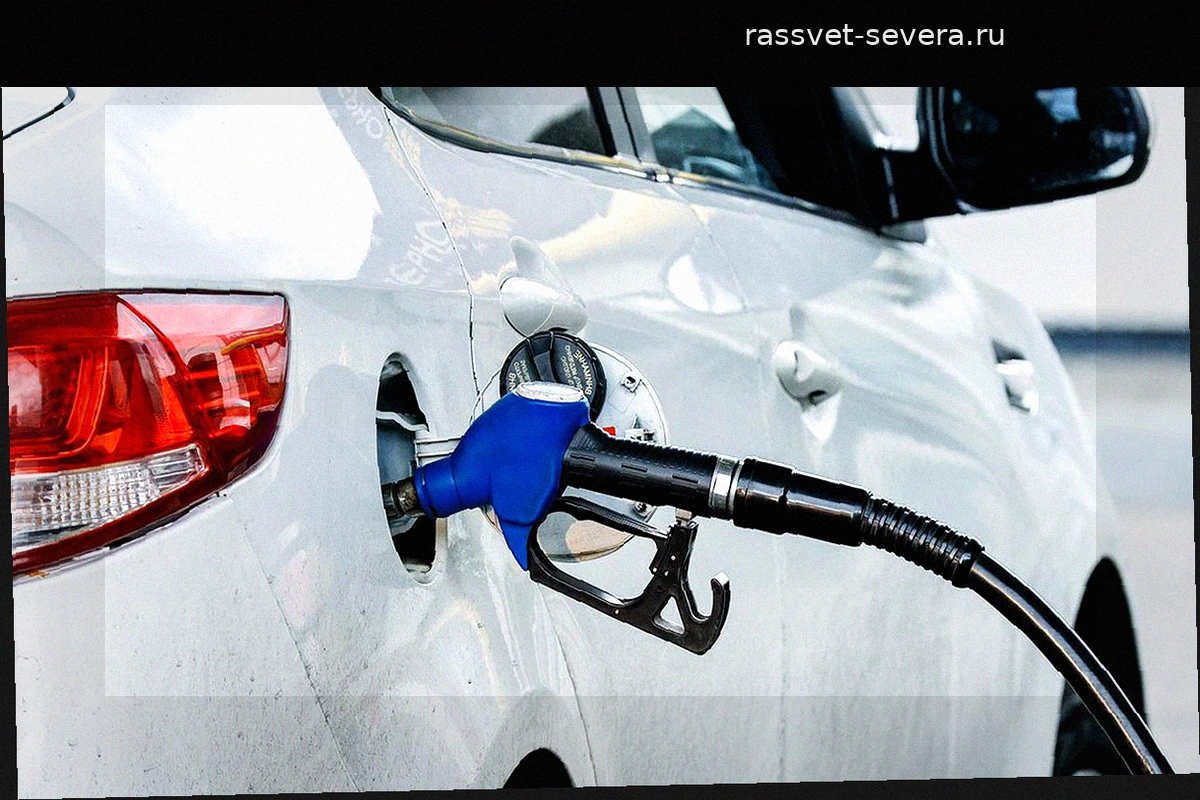 Влияние потребительского ажиотажа на наличие нефтепродуктов на АЗС
