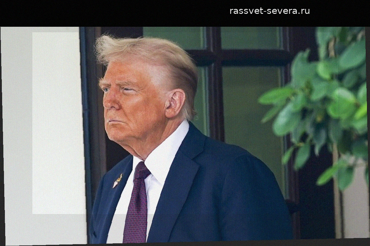 Дональд Трамп сравнил военные удары США по Ирану с «ласковым похлопыванием»