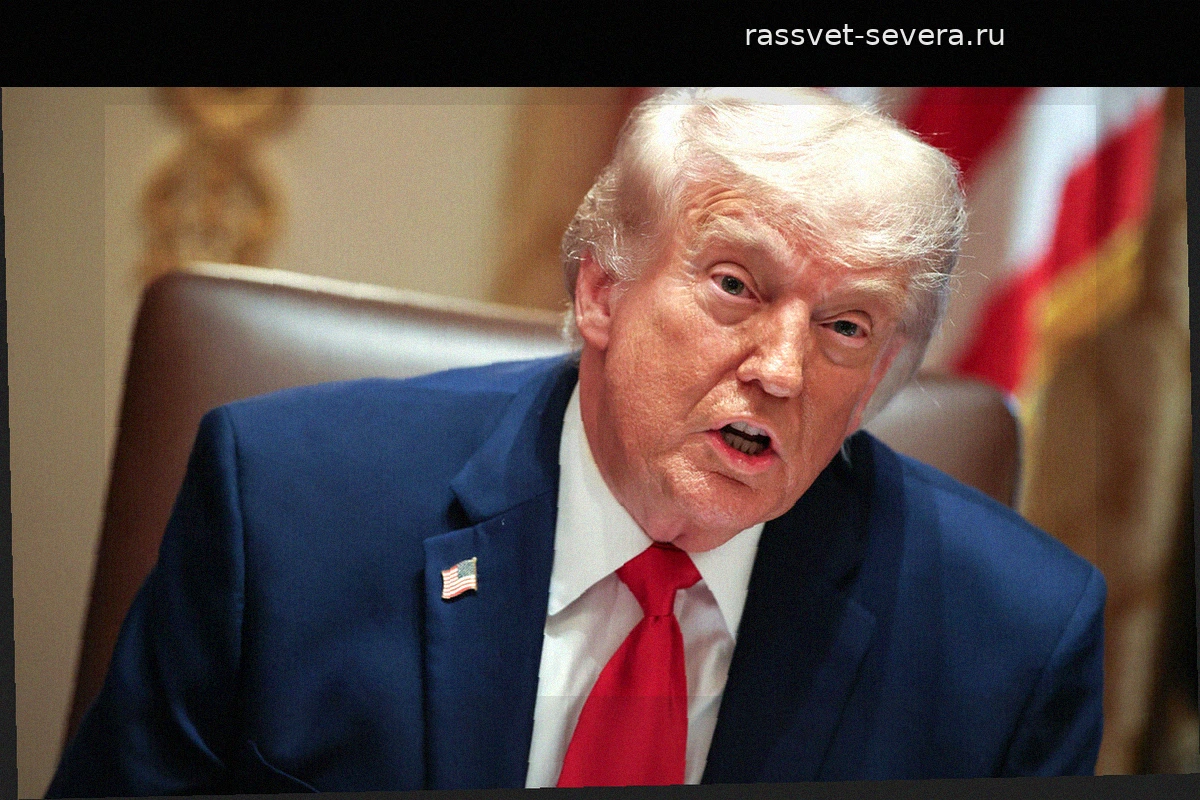 Дональда Трампа уличили в организации беспрецедентной коррупционной системы