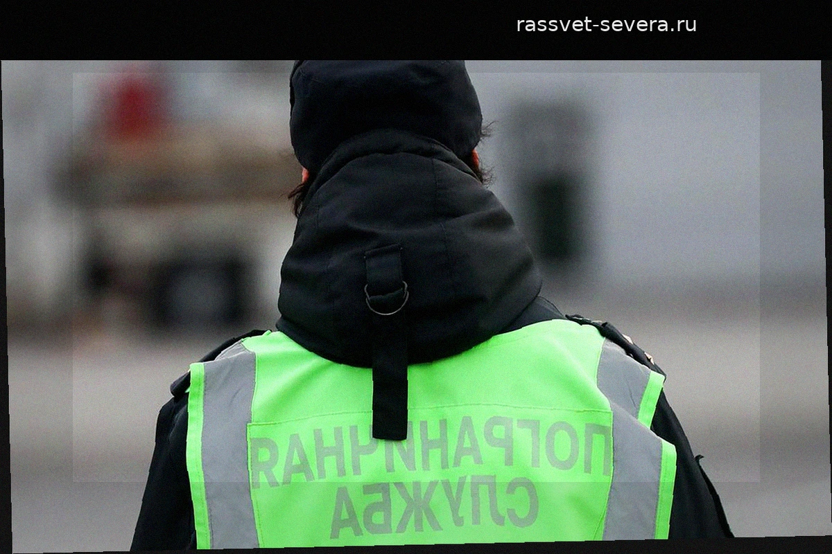 Меры на границах РФ ужесточены из-за угрозы распространения хантавируса