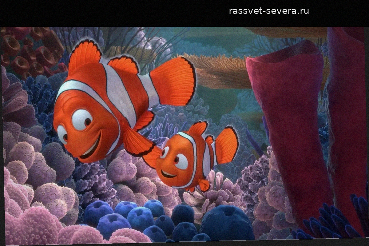 Pixar возвращается в океан: новая короткометражка «В поисках Немо» намекает на продолжение