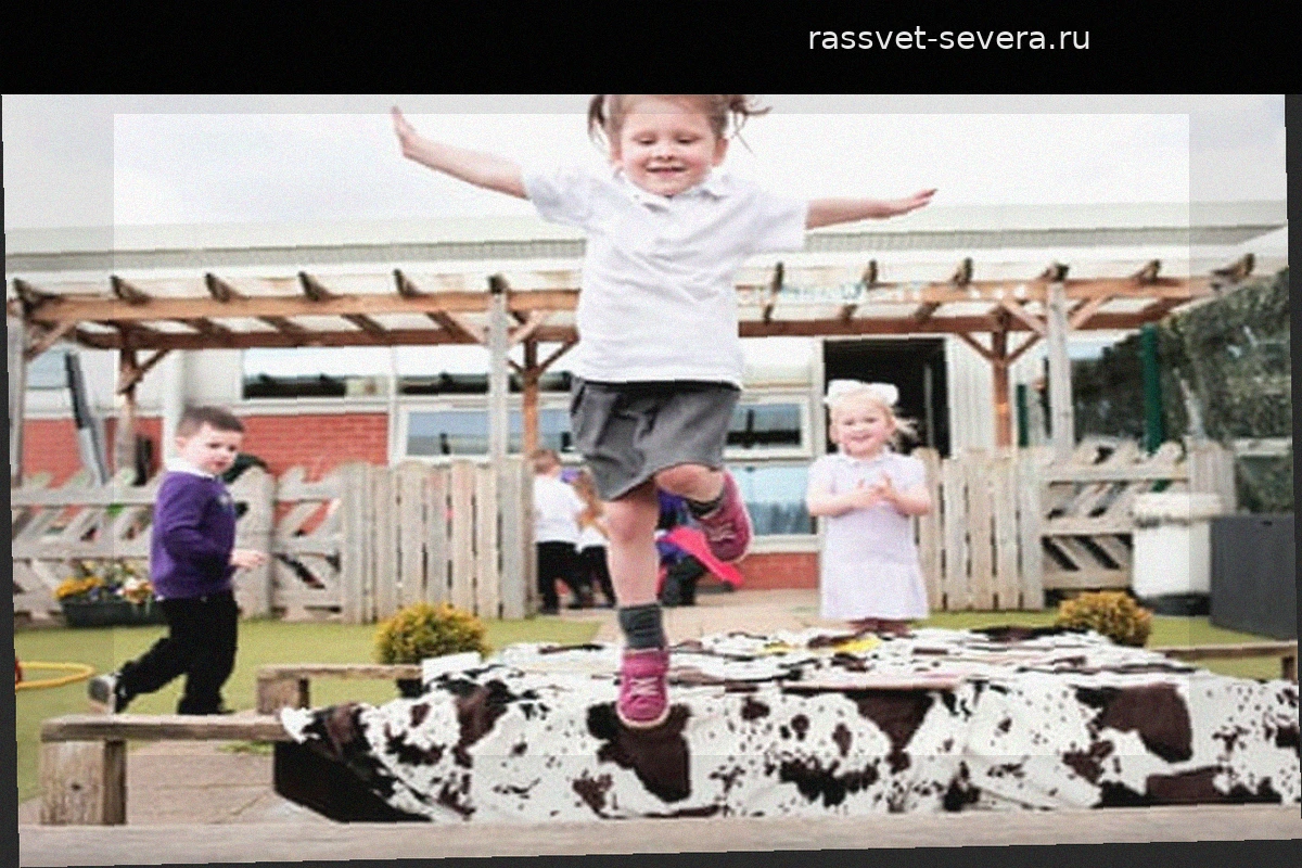 Развитие детей до пяти лет: успехи и скрытые угрозы английской системы образования