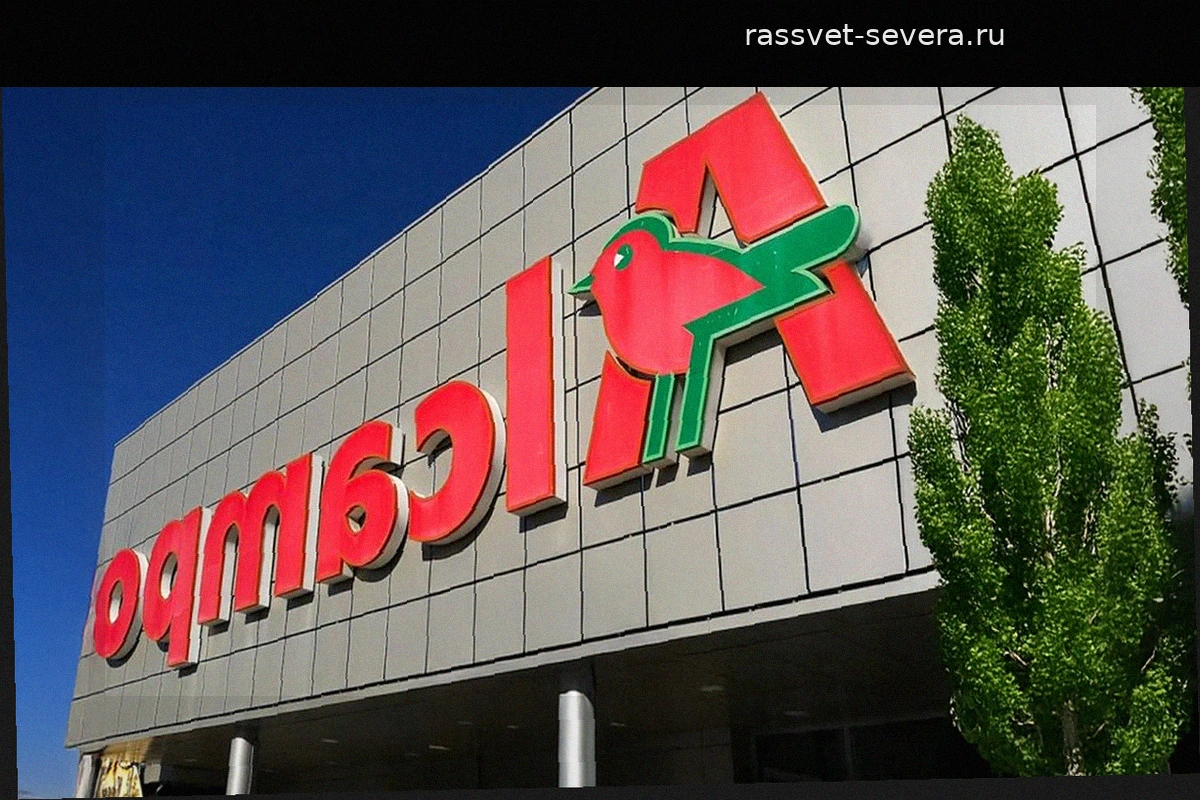 Ажиотаж в Alcampo: электровелосипед Youin Everest покоряет рынок благодаря запасу хода 65 км