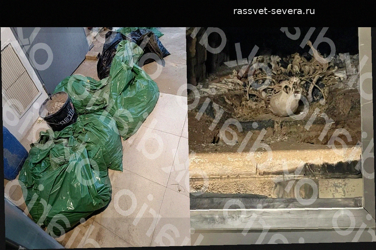 Скандал в крематории Сан-Фернандо-де-Энарес: руководство скрывало неисправность печей в течение года