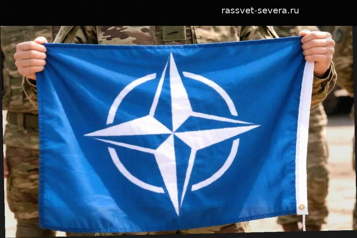 Законопроект о нейтральном статусе Украины: условия регистрации в Раде