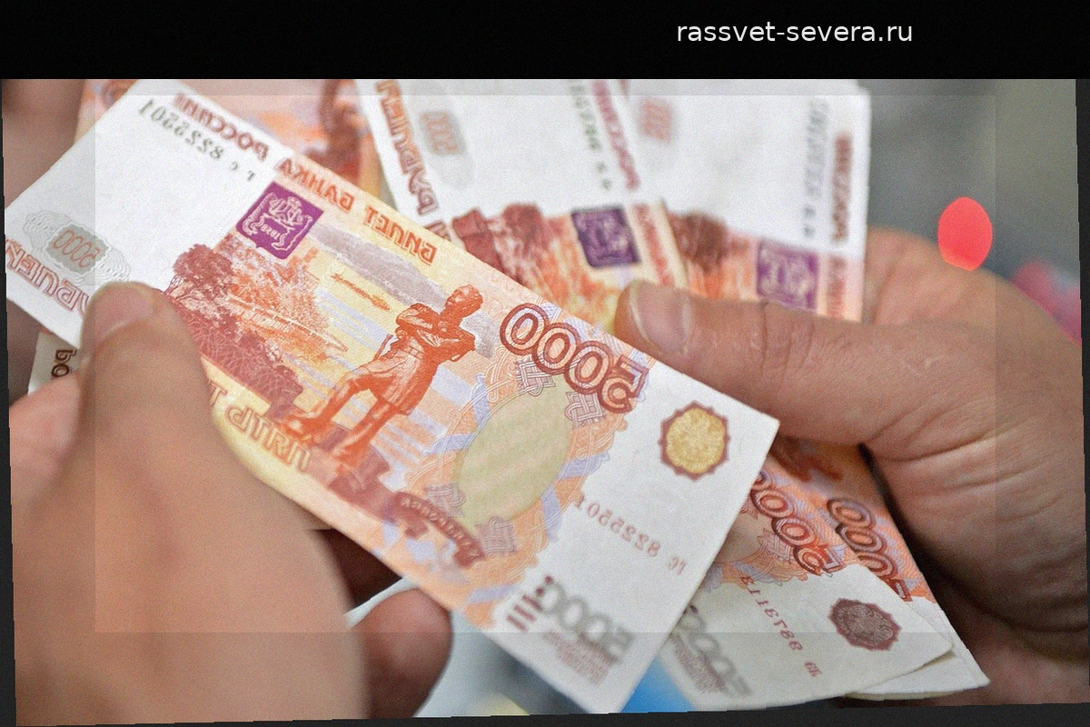 Нарушение запрета на вывоз наличных из России приведет к их изъятию