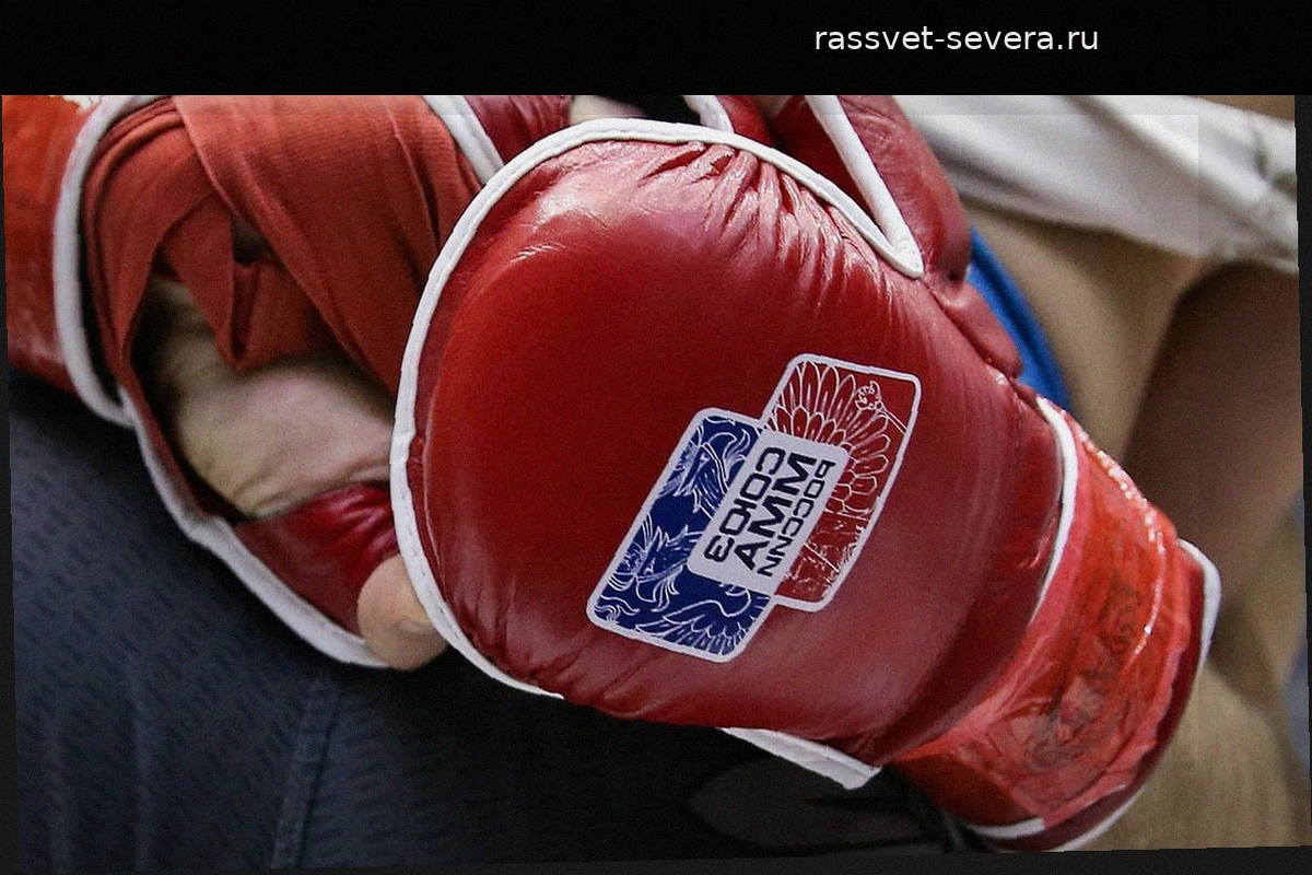 Союз ММА России официально восстановлен в Международной федерации (IMMAF)