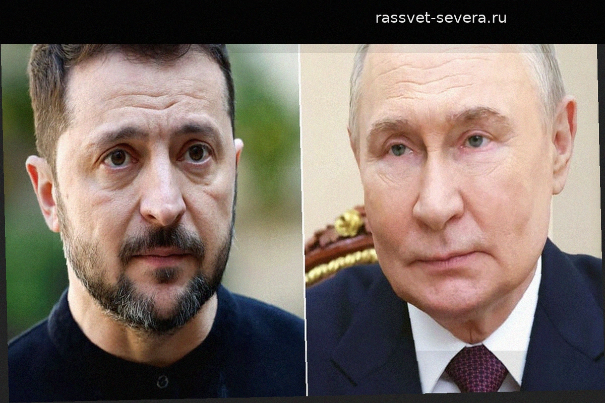 Конфликт в Украине: Зеленский и Путин обмениваются предложениями о мире