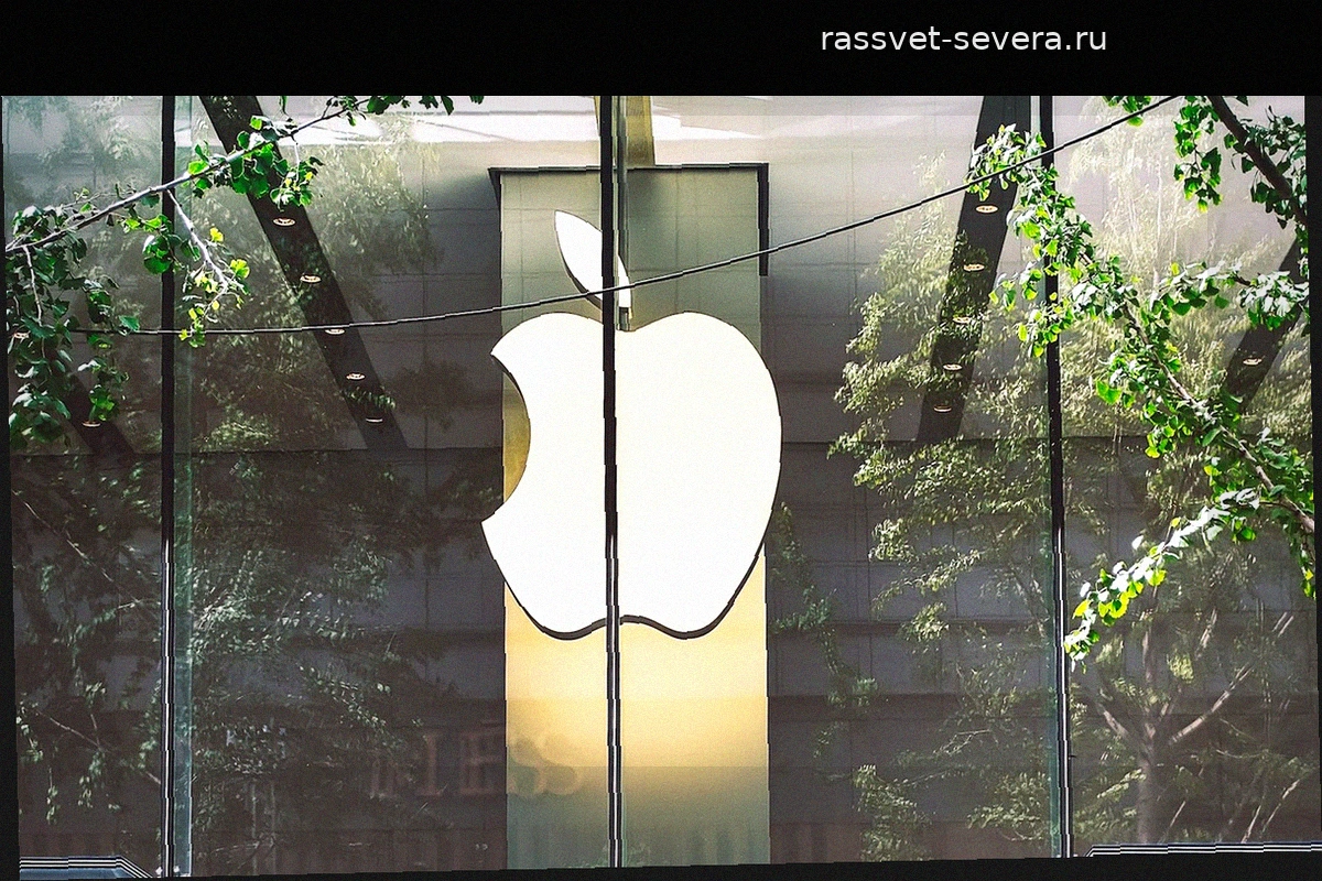 Apple бьет финансовые рекорды, но сталкивается с падением акций: итоги третьего квартала