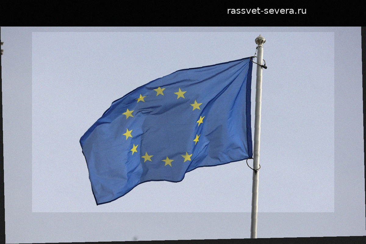 Депутат из Румынии устроила скандальную акцию с уничтожением флага ЕС