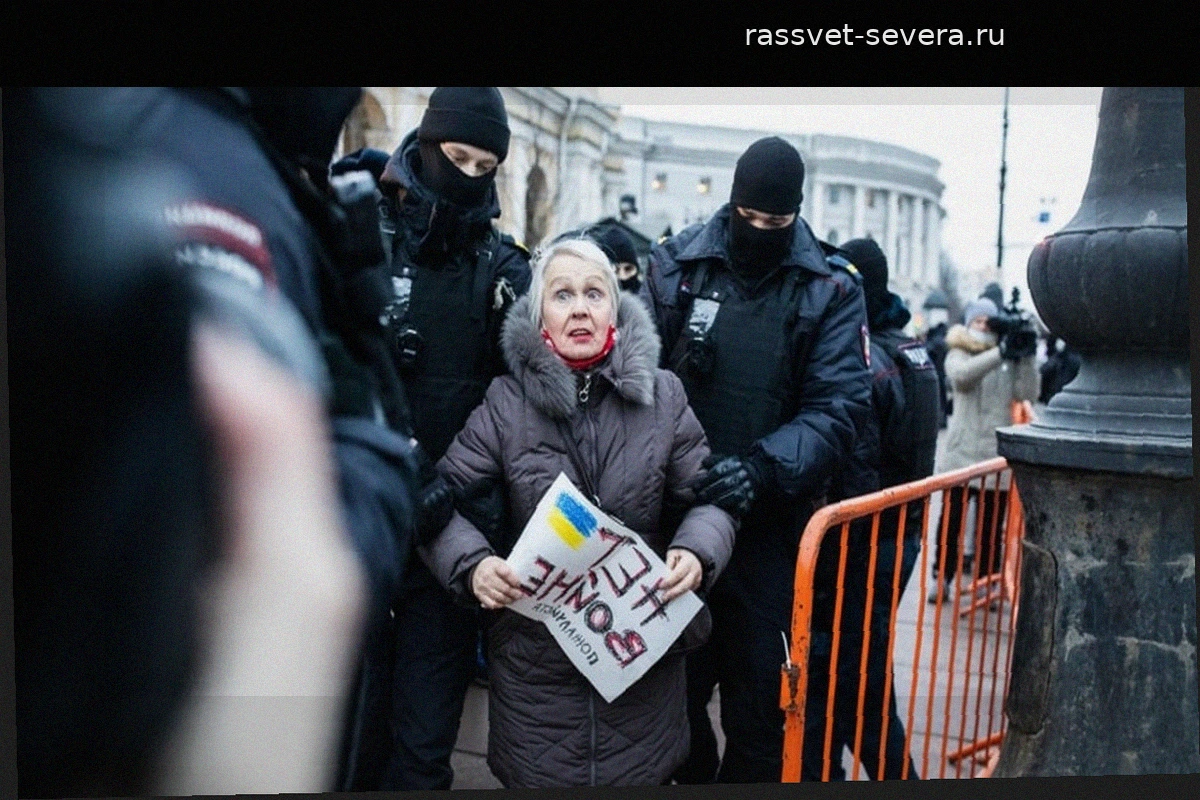 В Санкт-Петербурге полиция задержала 85-летнюю блокадницу Людмилу Васильеву из-за протестного плаката