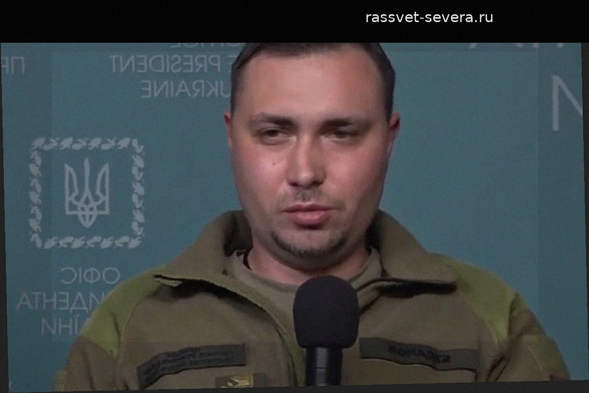 В Украине подвергли критике высказывания главы ГУР Буданова* о мобилизации