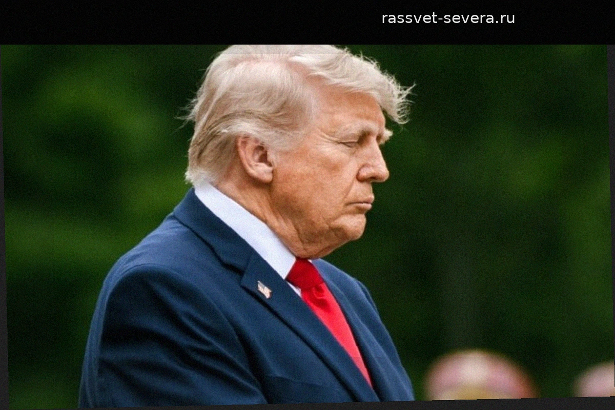 Дональд Трамп назвал главные причины упадка Европы