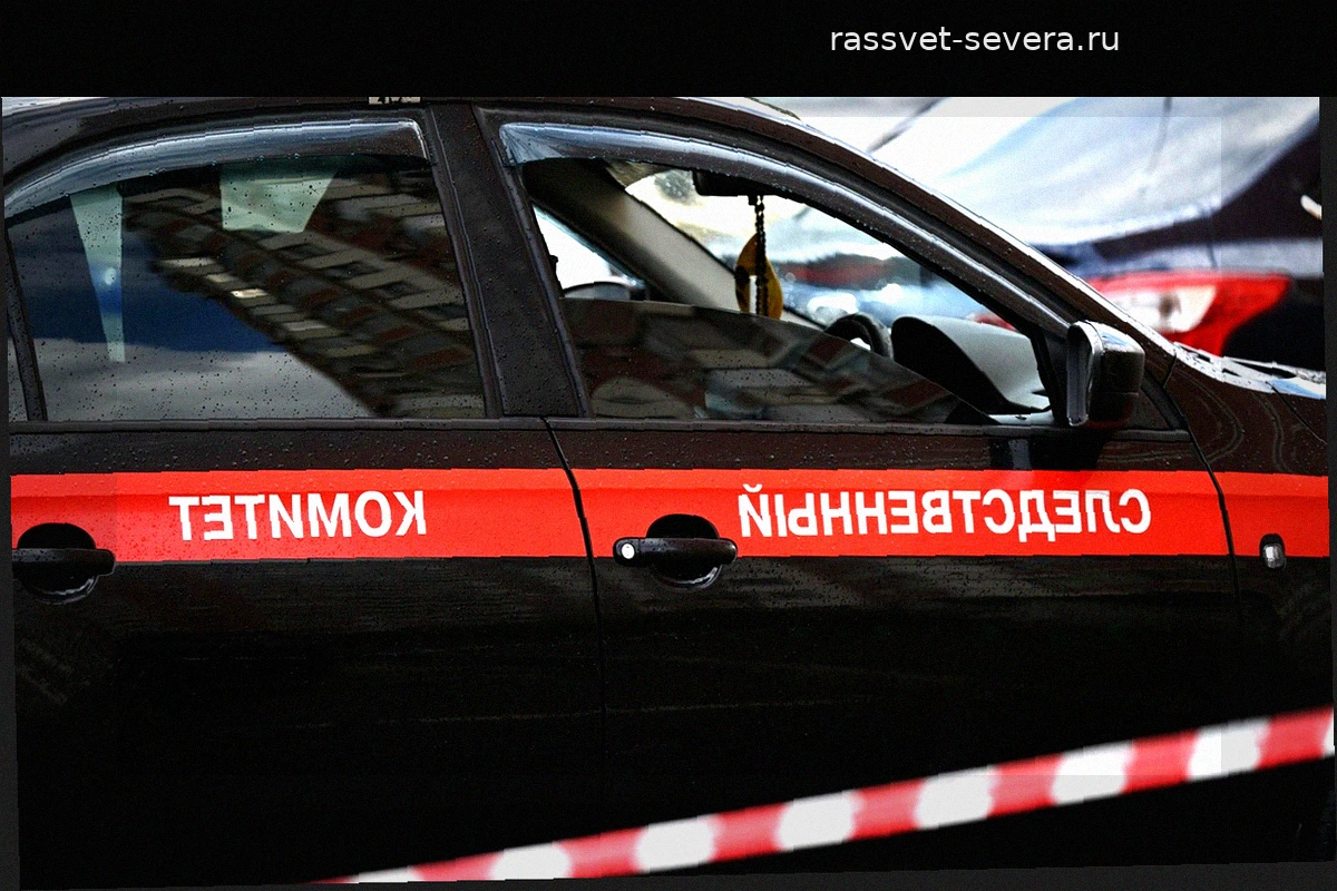 В Петербурге мужчина признался в убийстве матери и сокрытии тела в морозилке