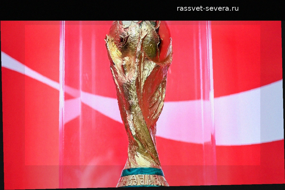 Все о трофее Чемпионата мира по футболу 2026: вес, размеры и удивительные факты