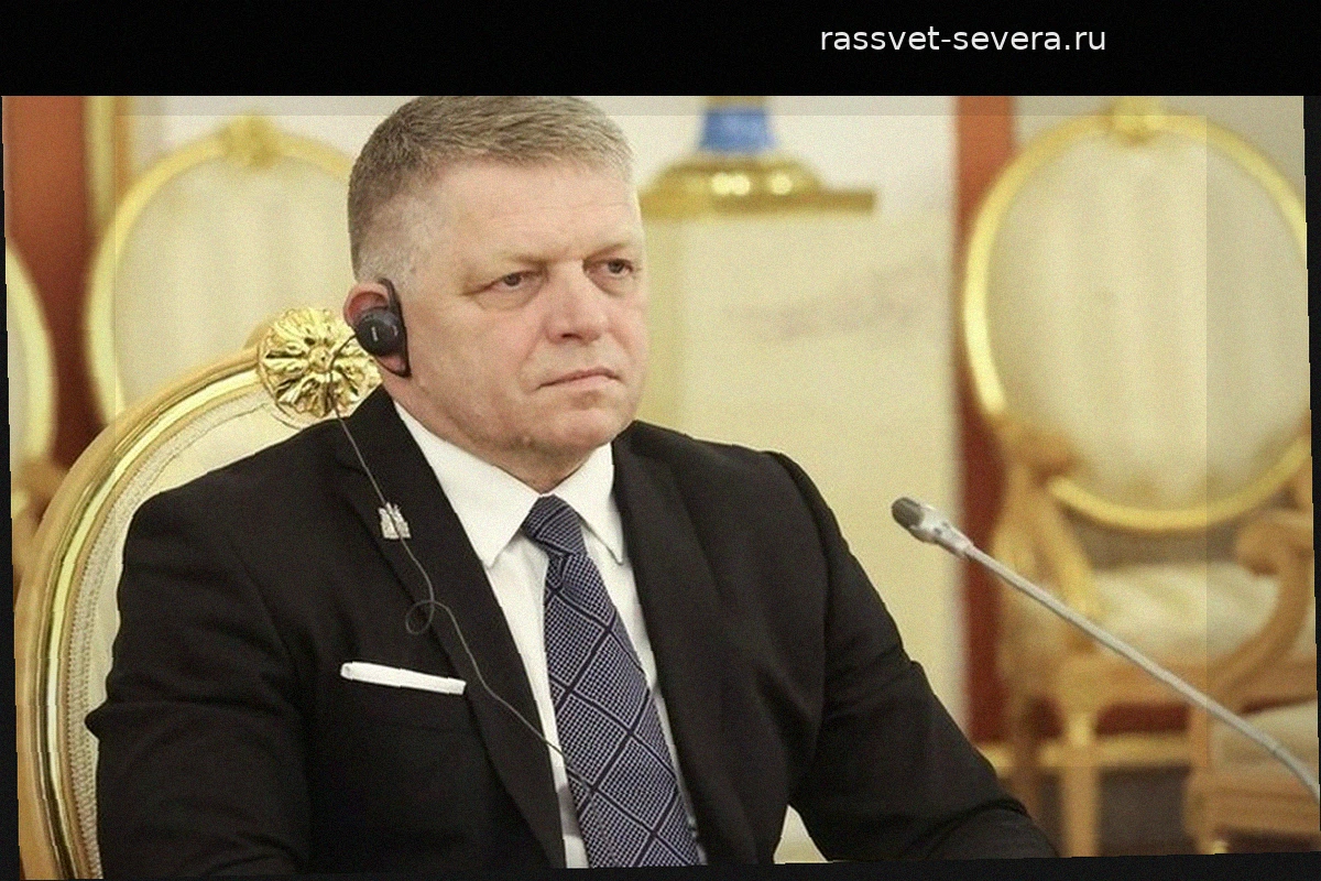 Роберт Фицо подтвердил планы по военному сотрудничеству Словакии с ОАЭ