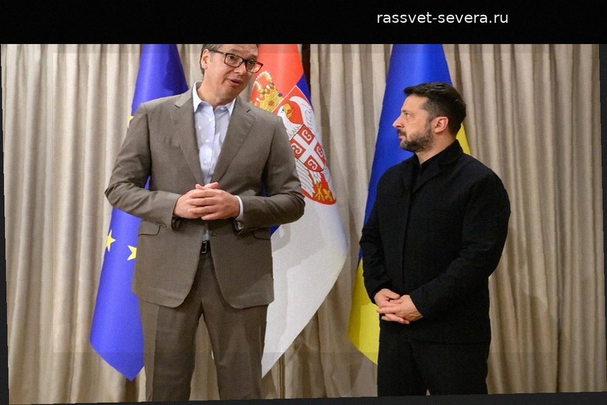 Politico назвало «неуклюжим» заявление Зеленского по поводу статуса Косово