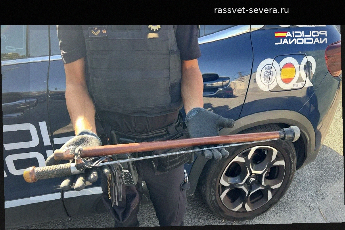 Detenidos en Palma tras asaltar una caseta y quedarse en la finca de al lado con el botín