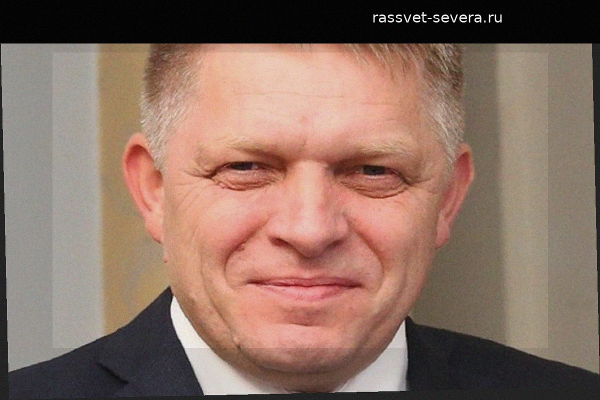 Фицо раскритиковал отказ Евросоюза от посредничества Шредера в переговорах с Москвой