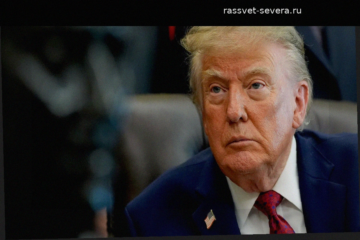 Трамп участвовал в онлайн-встрече G7 с выключенной видеосвязью