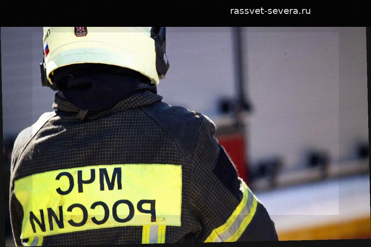Стали известны детали смертельного пожара на складе в Щелково