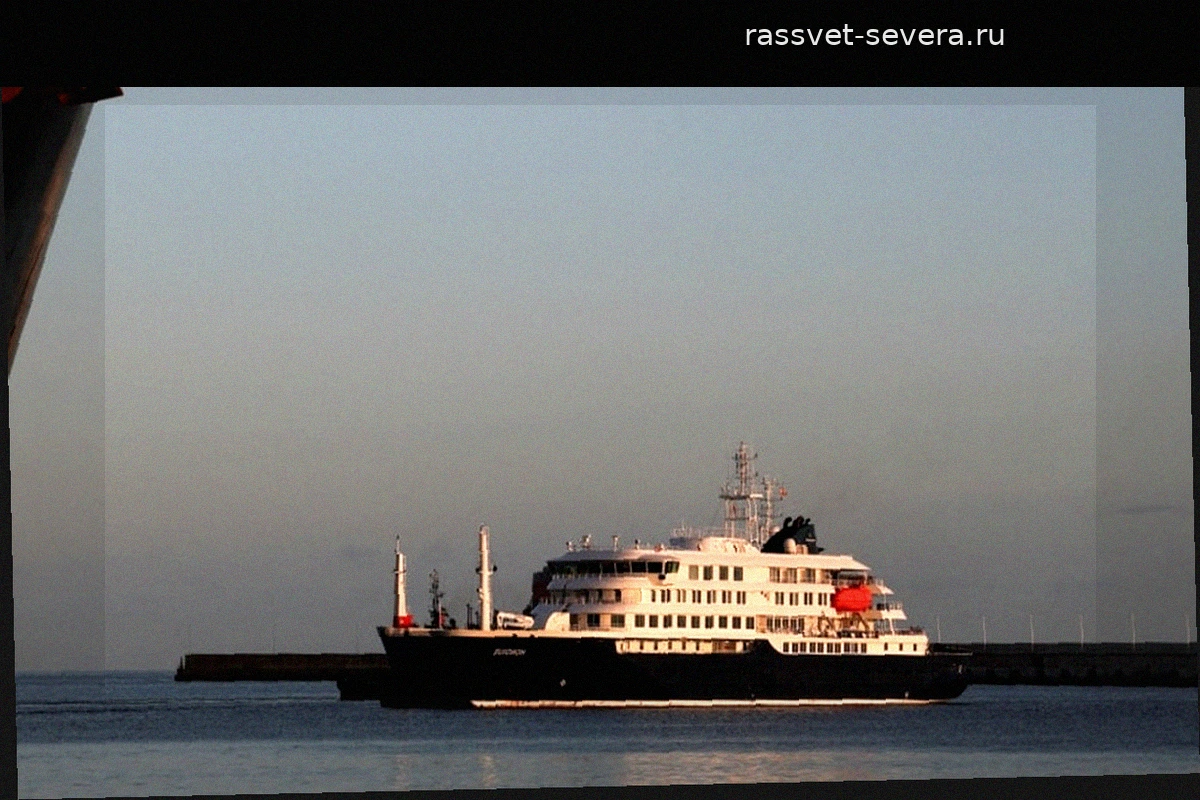 На круизном лайнере MV Hondius выявлены новые случаи заражения хантавирусом