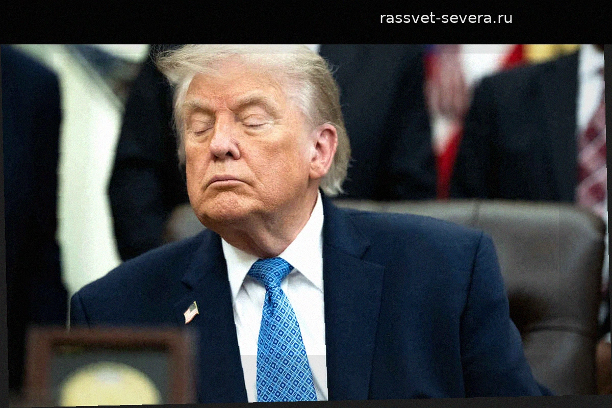 Трамп выразил недовольство ролью Испании в Североатлантическом альянсе