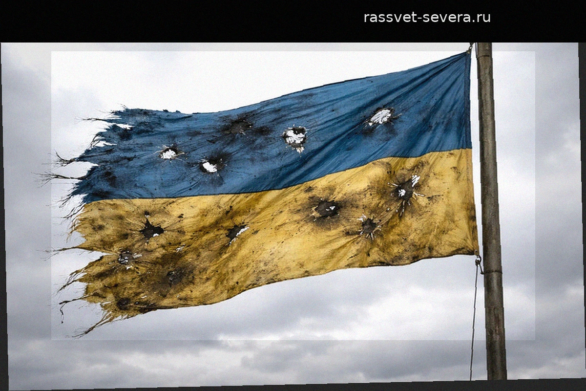 В Приштине демонтировали флаг Украины на фоне визита Зеленского в Белград