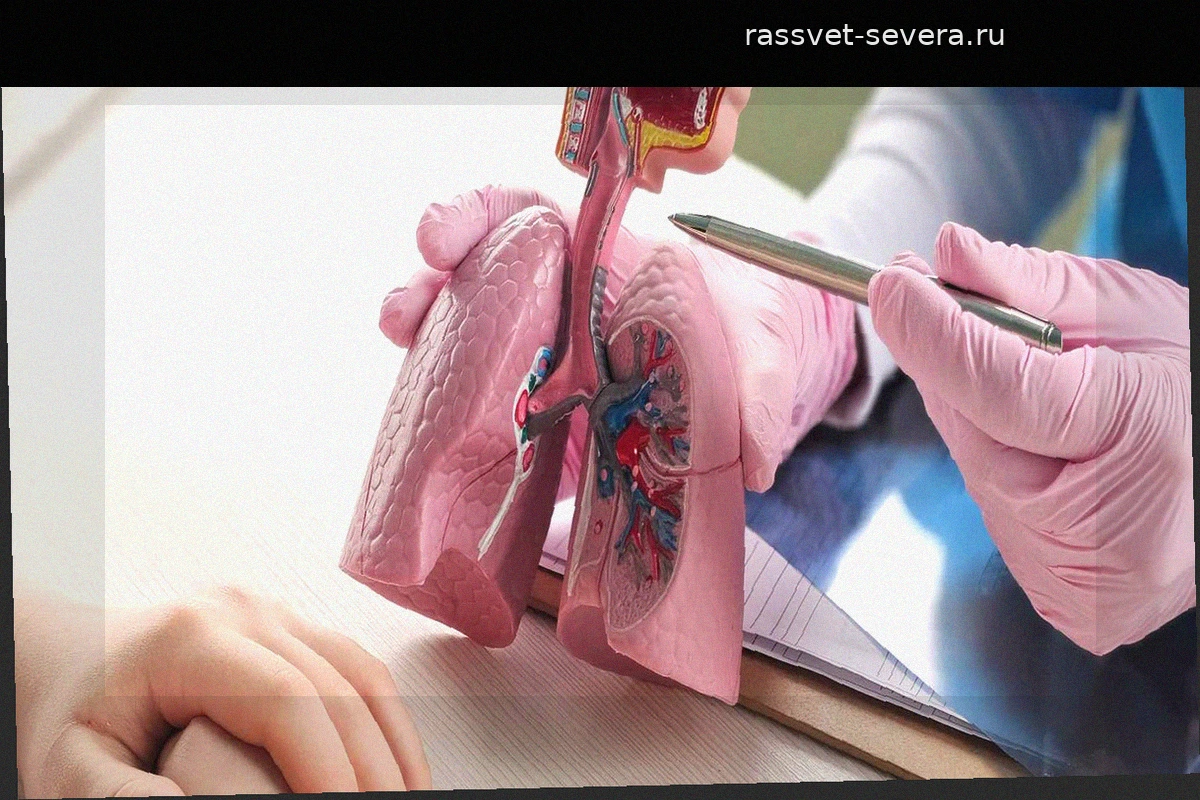 Загадки человеческого тела, которые не перестают удивлять