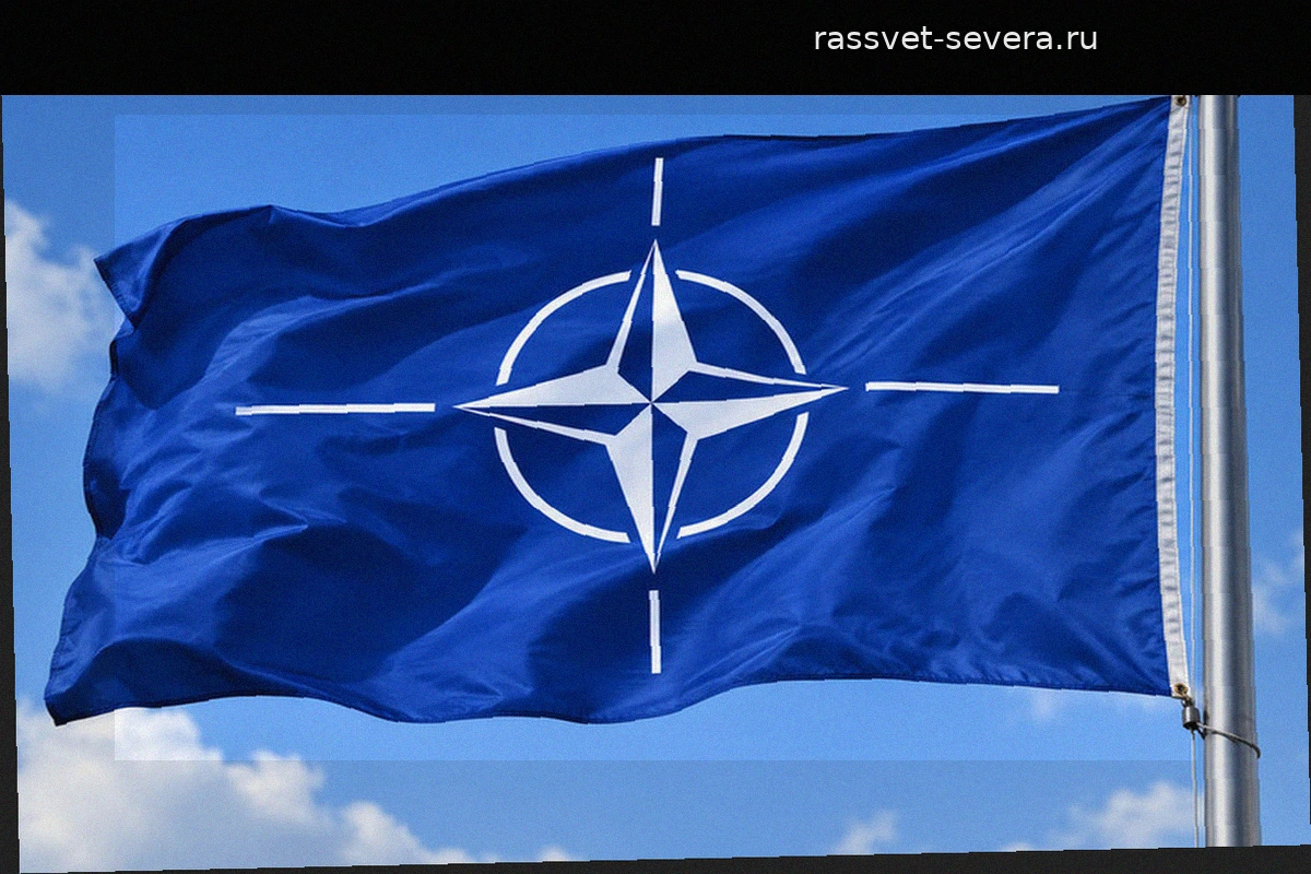 Швейцария на референдуме решит судьбу своего нейтралитета