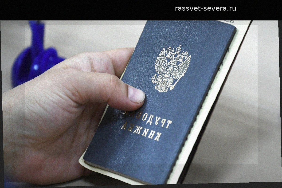 Самые доступные отрасли для трудоустройства в России