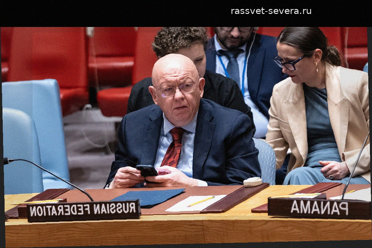 Небензя: Россия продолжит СВО до достижения целей военным путем