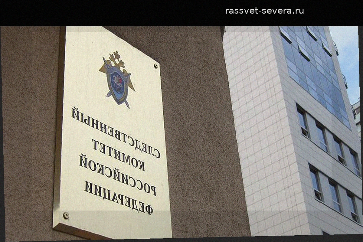 В Нижнем Тагиле СК выясняет причины смерти двухлетнего ребенка в больнице