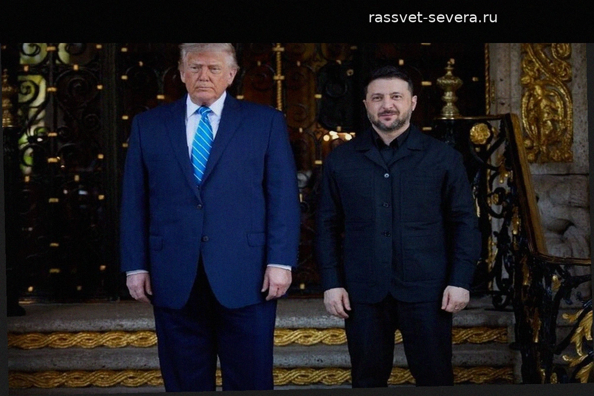Трамп отправил Зеленского обсуждать Starlink напрямую с Илоном Маском