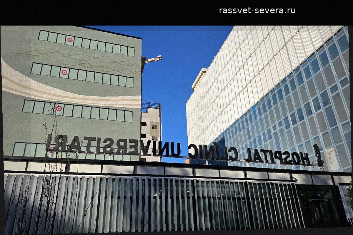 В Испании у пациенток в Аликанте и Барселоне не подтвердился хантавирус