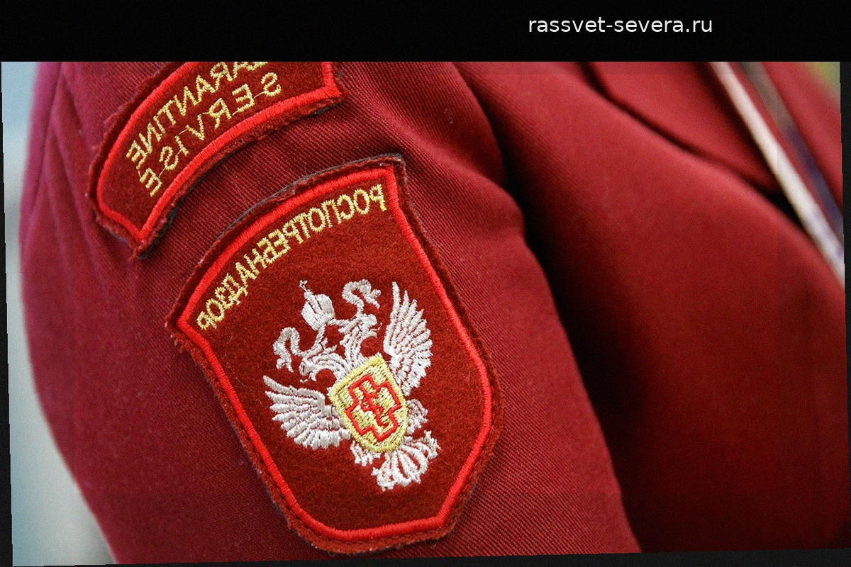 Роспотребнадзор усилил санитарный контроль на границах из-за вспышки сыпного тифа