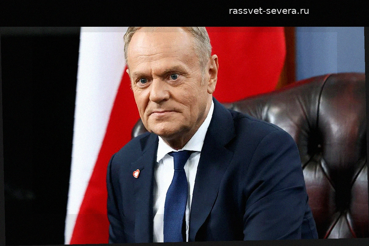 Туск призвал НАТО всерьез воспринять предупреждения Медведева в адрес Европы